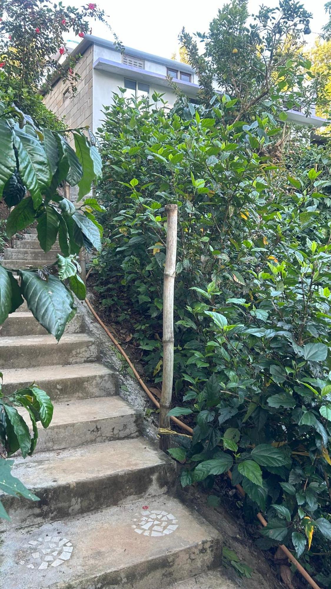 Doddakallu Betta Homestay Coorg Somvarpet ภายนอก รูปภาพ