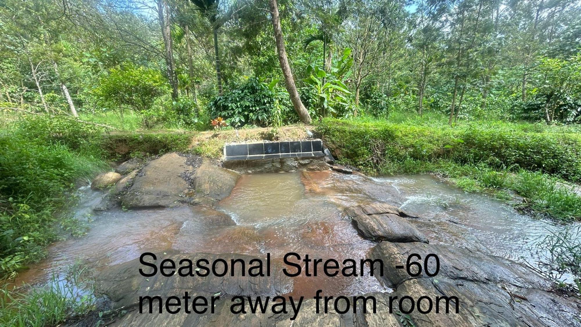 Doddakallu Betta Homestay Coorg Somvarpet ภายนอก รูปภาพ