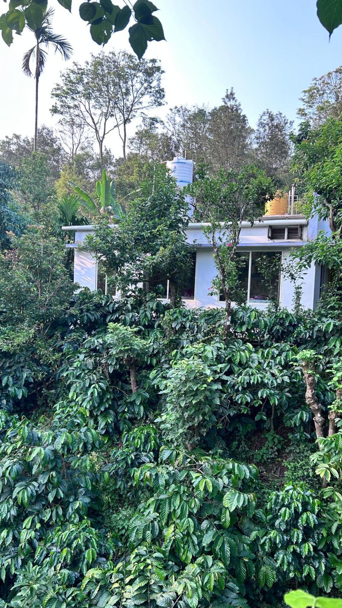 Doddakallu Betta Homestay Coorg Somvarpet ภายนอก รูปภาพ