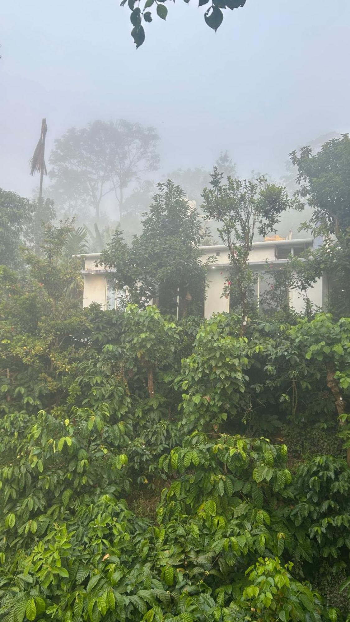 Doddakallu Betta Homestay Coorg Somvarpet ภายนอก รูปภาพ